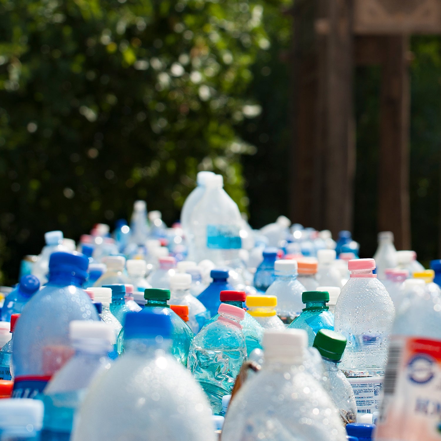 10 Tips to Reduce Plastic Pollution