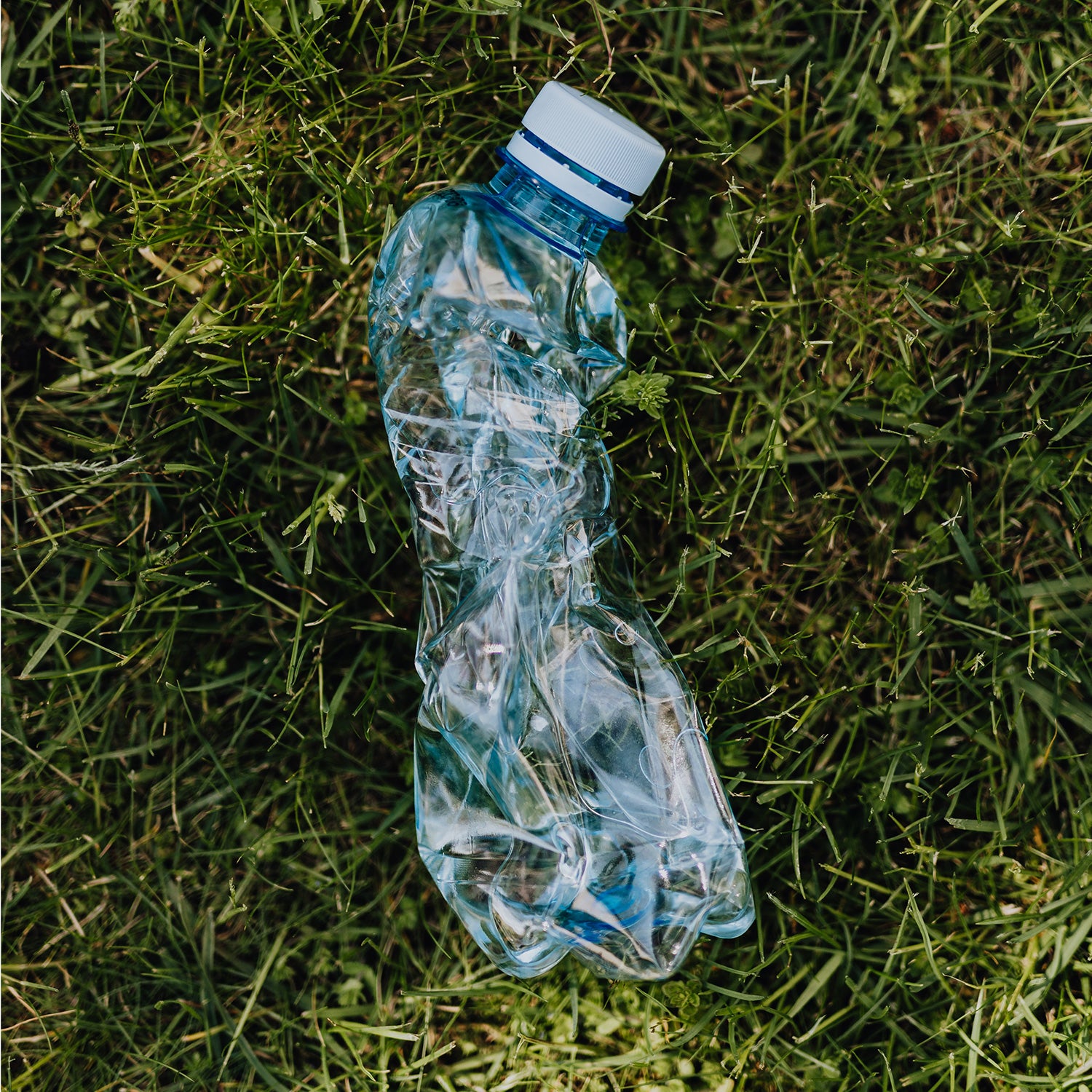 10 Shocking Ways Plastic Harms the Environment