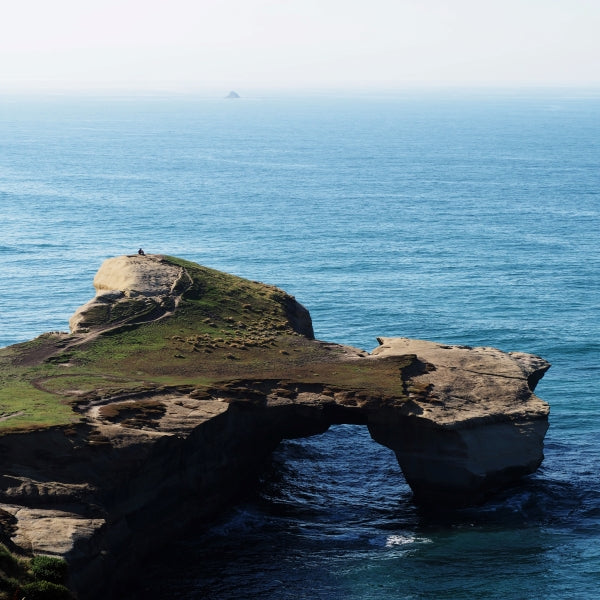 10 Ways Plastics Damage Human Health