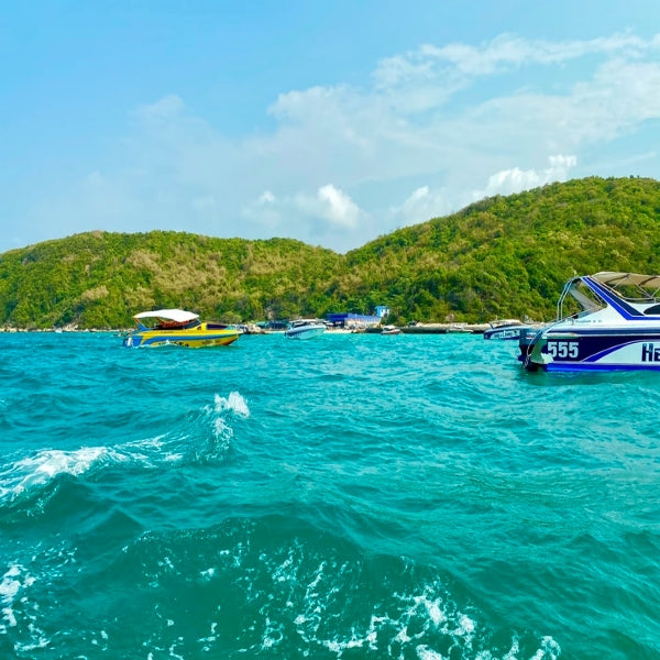 Glass vs Aluminium vs Boxed - Which Water is Best?